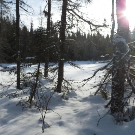 Residence Touristique Lodge Des Bois Saint-Felix-d'Otis ภายนอก รูปภาพ