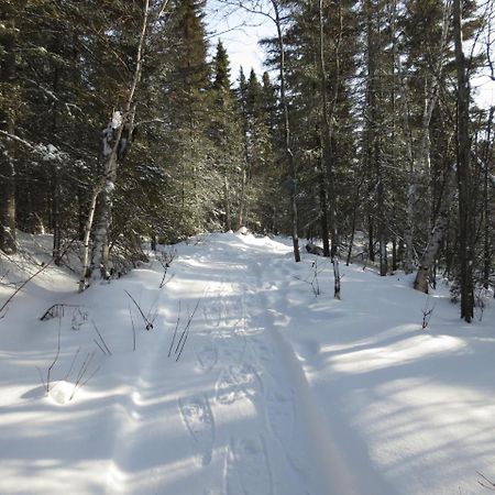 Residence Touristique Lodge Des Bois Saint-Felix-d'Otis ภายนอก รูปภาพ