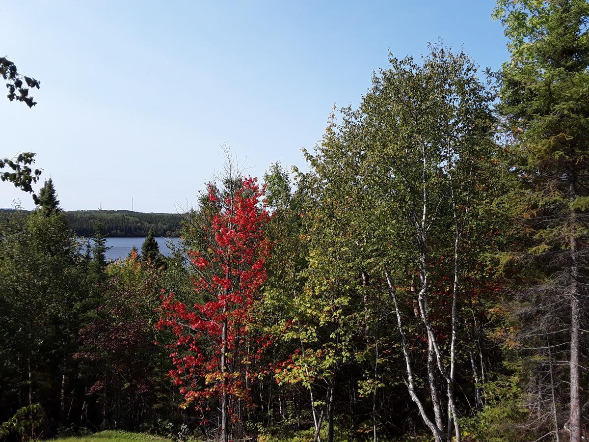 Residence Touristique Lodge Des Bois Saint-Felix-d'Otis ภายนอก รูปภาพ