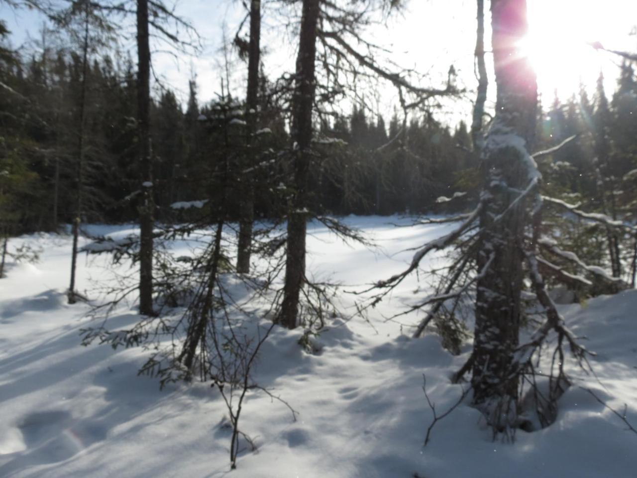 Residence Touristique Lodge Des Bois Saint-Felix-d'Otis ภายนอก รูปภาพ
