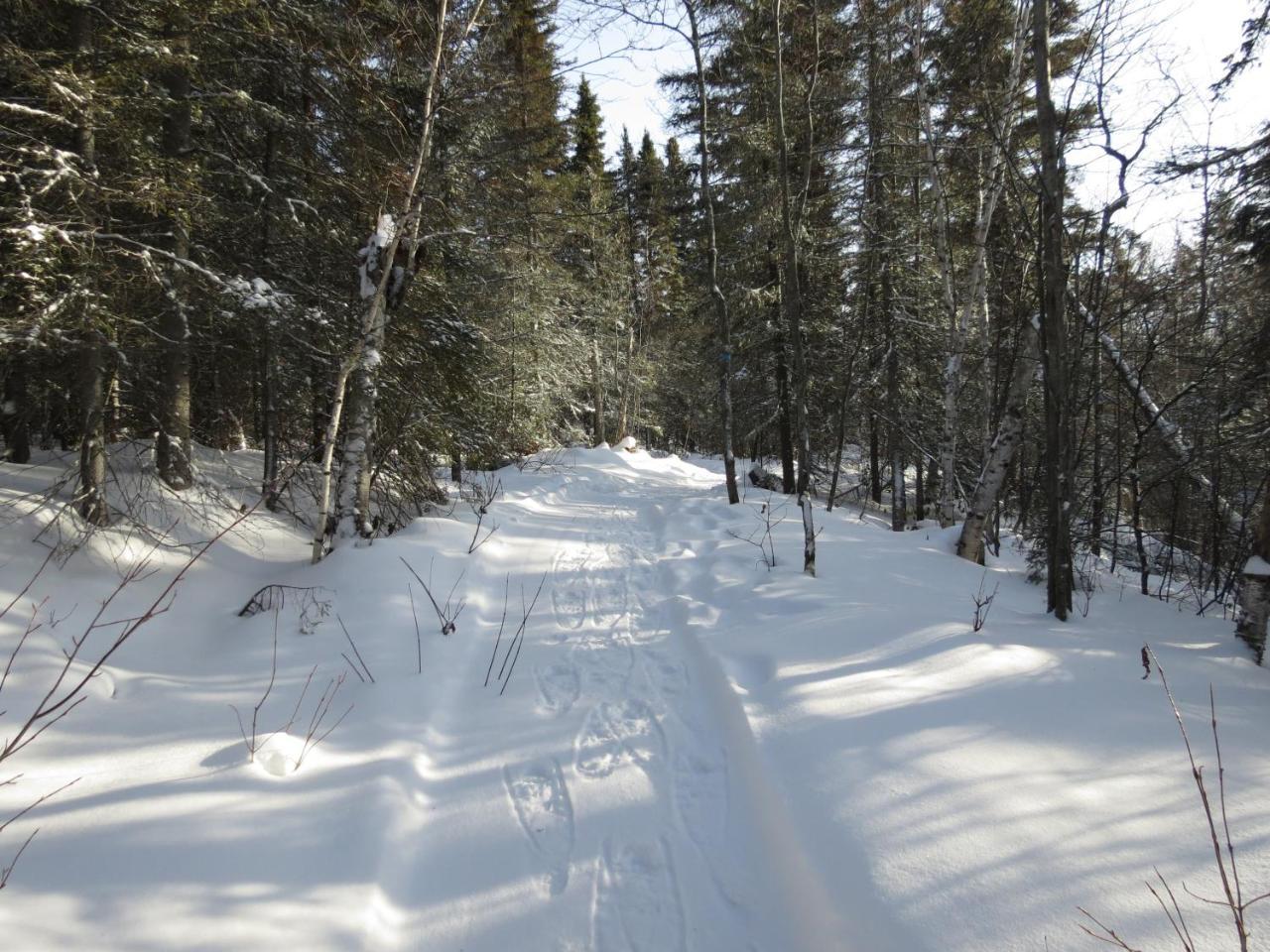 Residence Touristique Lodge Des Bois Saint-Felix-d'Otis ภายนอก รูปภาพ