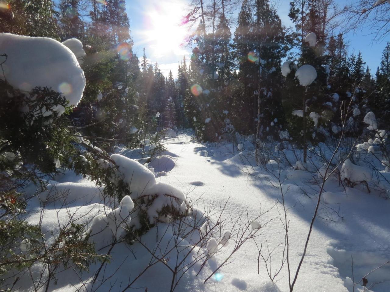 Residence Touristique Lodge Des Bois Saint-Felix-d'Otis ภายนอก รูปภาพ
